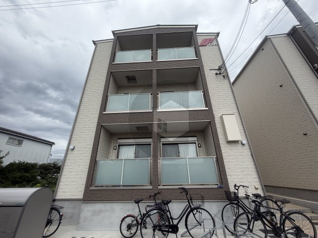 F asecia cerの外観