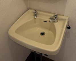 ＳＫハイツⅡの洗面所