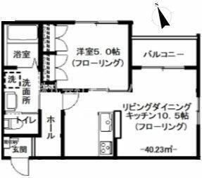 ムーンライト　コントラバス
