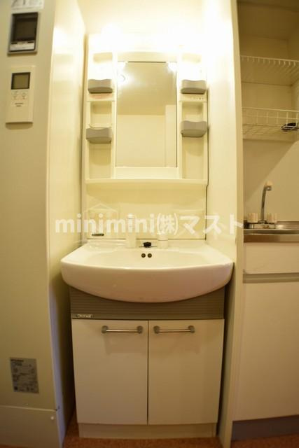 ＶＩＮＥルミエール大国町の洗面所