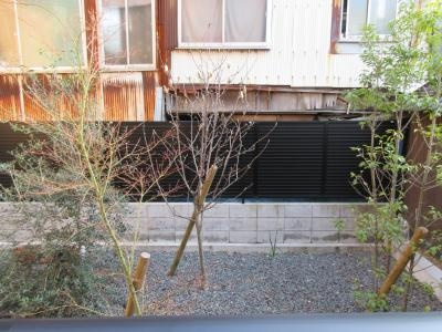 Casa dell' Albero-kaneko-釜座邸（カーサ・デッラルベーロカネコ釜座邸）のその他|南向き眺望