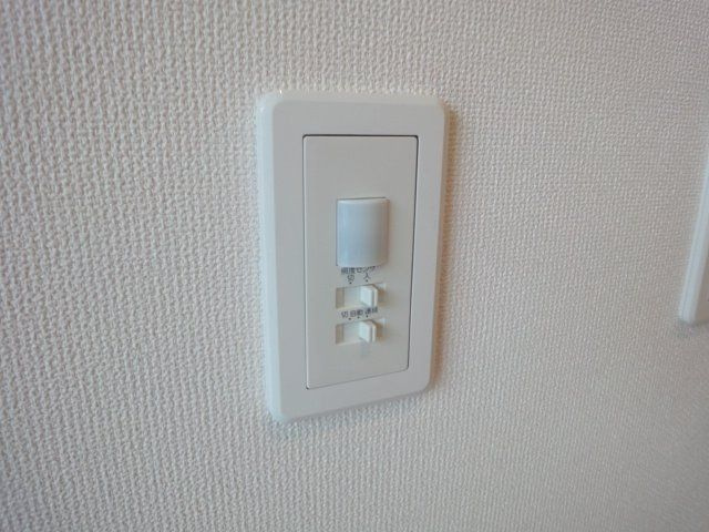 フェリーチェK・S・Kのその他