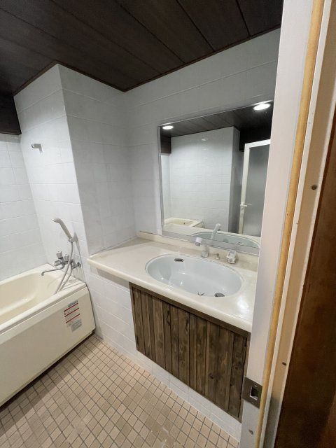 西宮市甲陽園西山町の賃貸マンションの洗面所