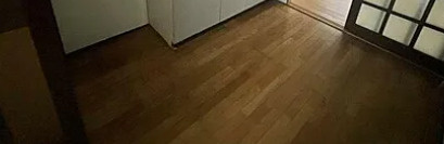 目白ローヤルコーポの居間・リビング