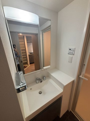 S-RESIDENCE新宿早稲田avelisの洗面所