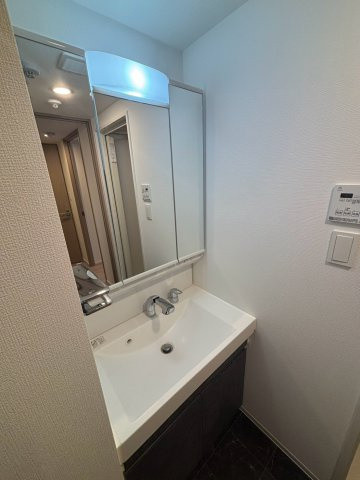 S-RESIDENCE新宿早稲田avelisの洗面所