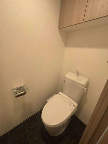 S-RESIDENCE新宿早稲田avelisのトイレ
