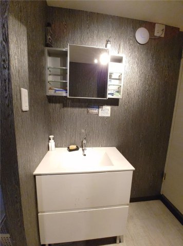 SB030 クロス三軒茶屋9の洗面所