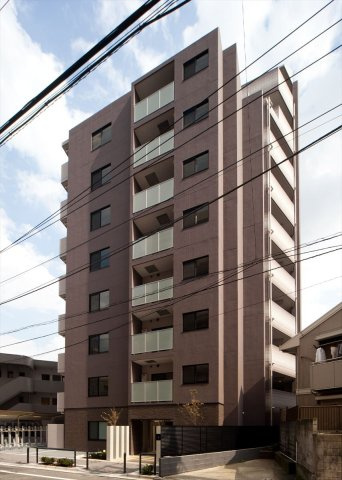 DIPS小竹向原