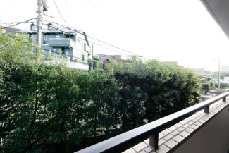 【展望】 | ジュノーヒル