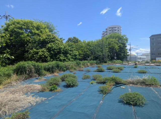 草津市野路６丁目の事業用地
