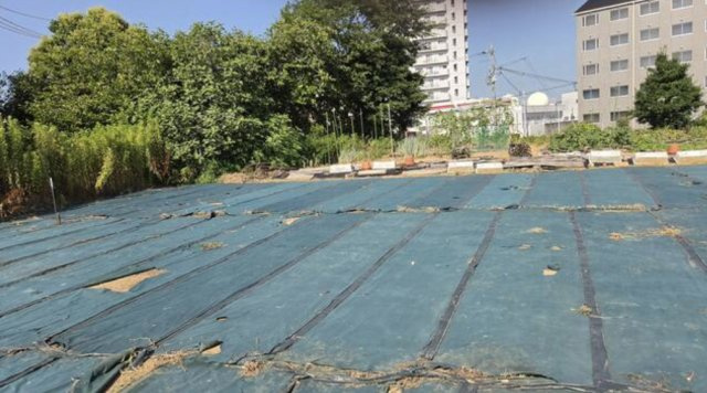 草津市野路６丁目の事業用地の外観