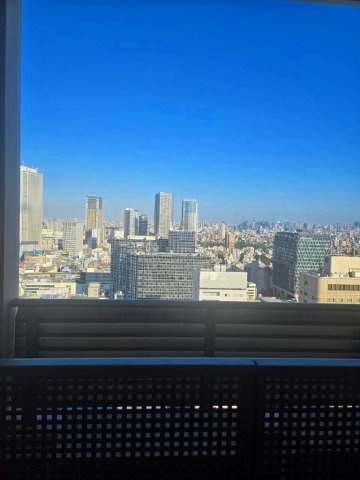 ウエストパークタワー池袋の展望