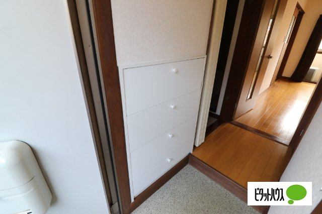 南町山岸ハイツⅠの玄関