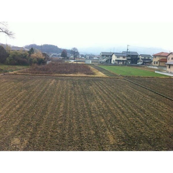 ビックイーストⅡAのその他