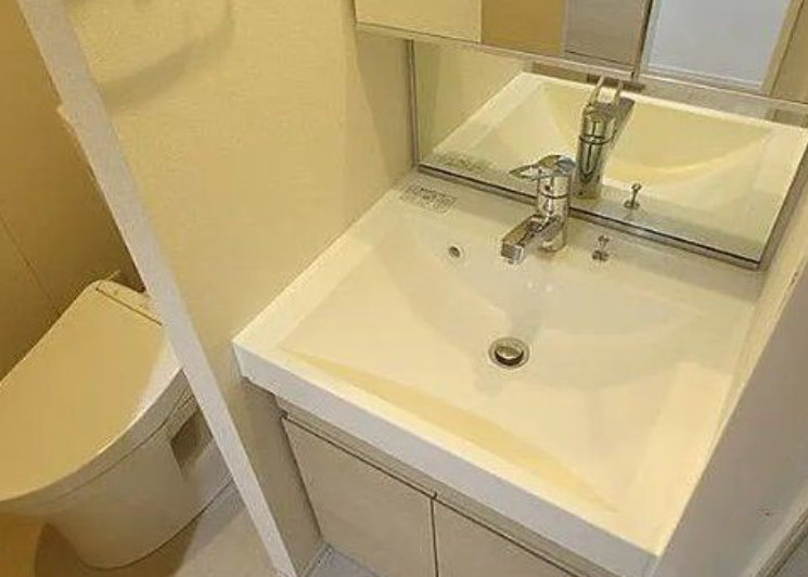 ベルフェリーク西小山の洗面所
