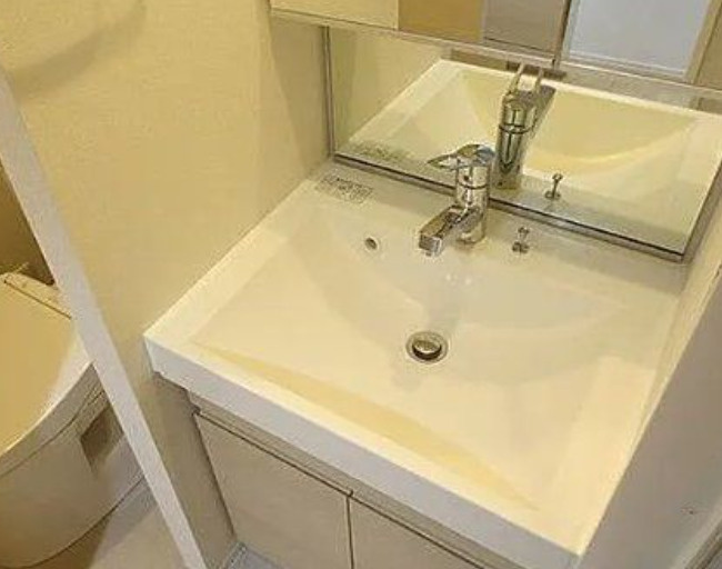 ベルフェリーク西小山の洗面所
