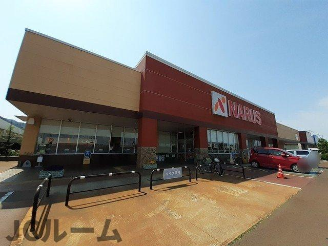 クレメントⅢの周辺|ナルス　高田西店まで1000m