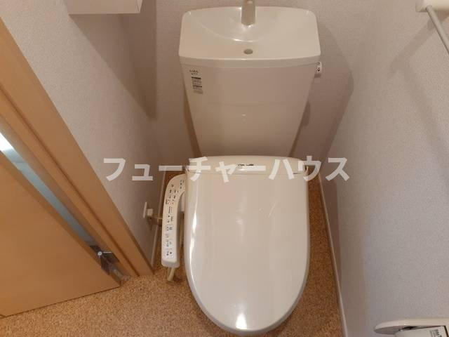 プラシードのトイレ