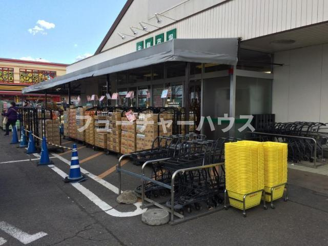 ドリームハウス（Ｄｒｅａｍ　Ｈｏｕｓｅ）の周辺|ジャパンミート卸売市場50号店まで901ｍ