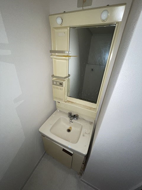 マンションエウォールの洗面所