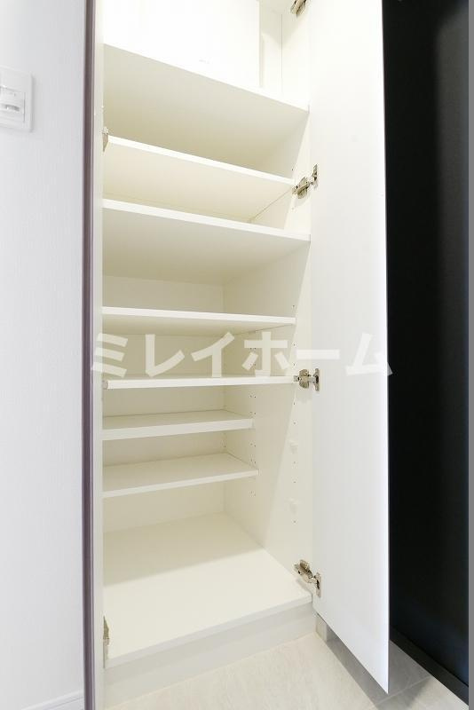 ラフィスタ多摩川の収納
