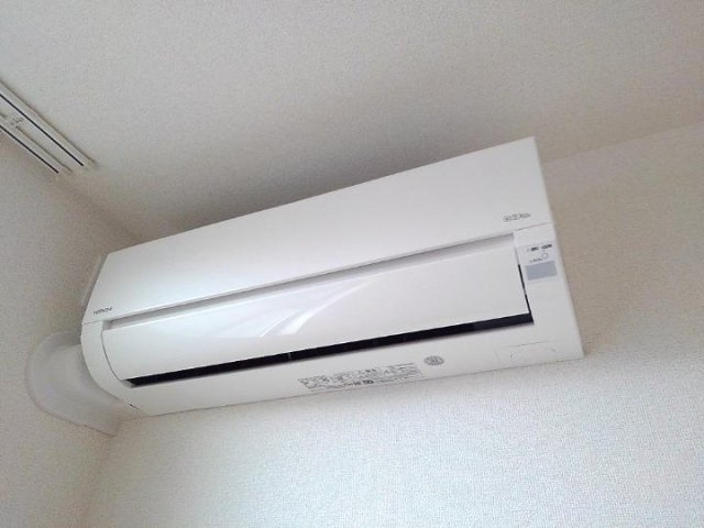 シェーネス　リヒトのその他