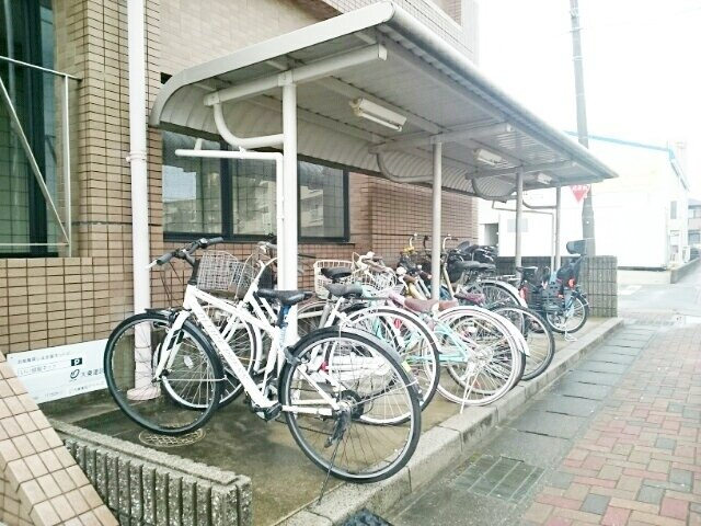 セルフィ・Ｔのその他