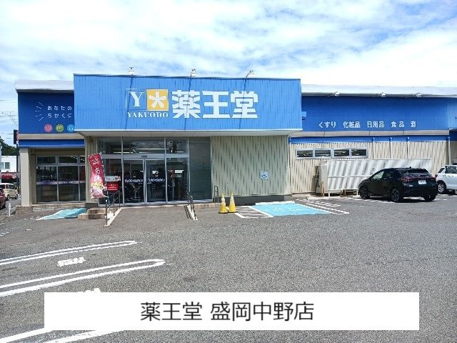 ピソ・ヴェルデの周辺|薬王堂 盛岡中野店まで950m