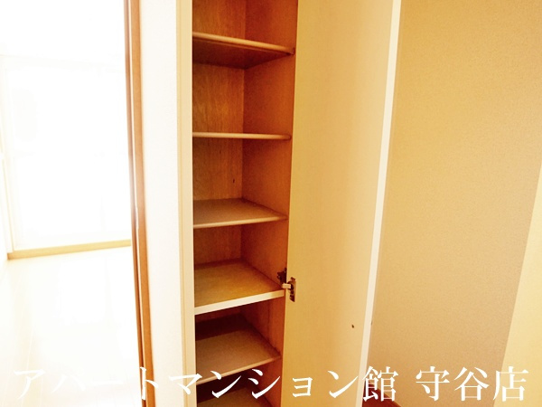 レオパレスJGraceみらいの収納