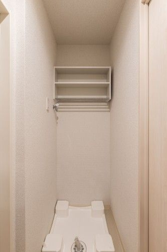 ゼフィール トリトスのその他
