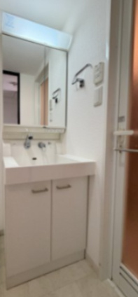 S-RESIDENCE難波EASTの洗面所