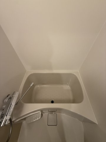 ArtizA南船場の浴室