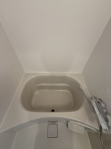 ArtizA南船場の浴室