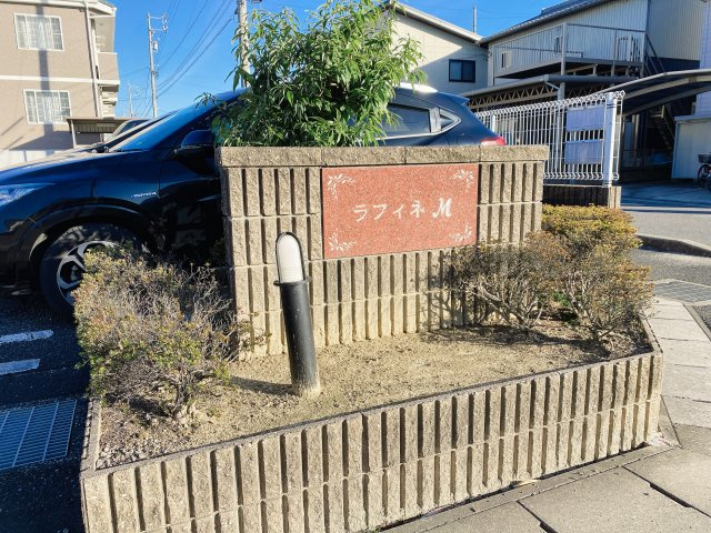 ラフィネＭのその他
