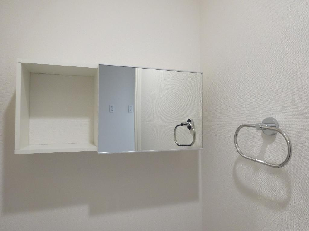 スカイウェストのその他