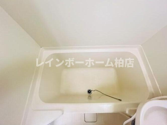特典：仲介手数料が無料です!!の浴室|落ち着いた空間のお風呂です