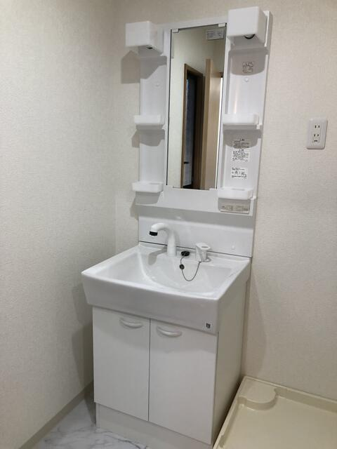 楠ホームズB棟の洗面所