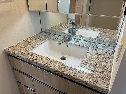 アトラス品川中延の洗面所