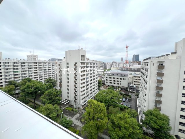 亀戸2丁目団地　9号棟　11階　最　上階　空室の展望