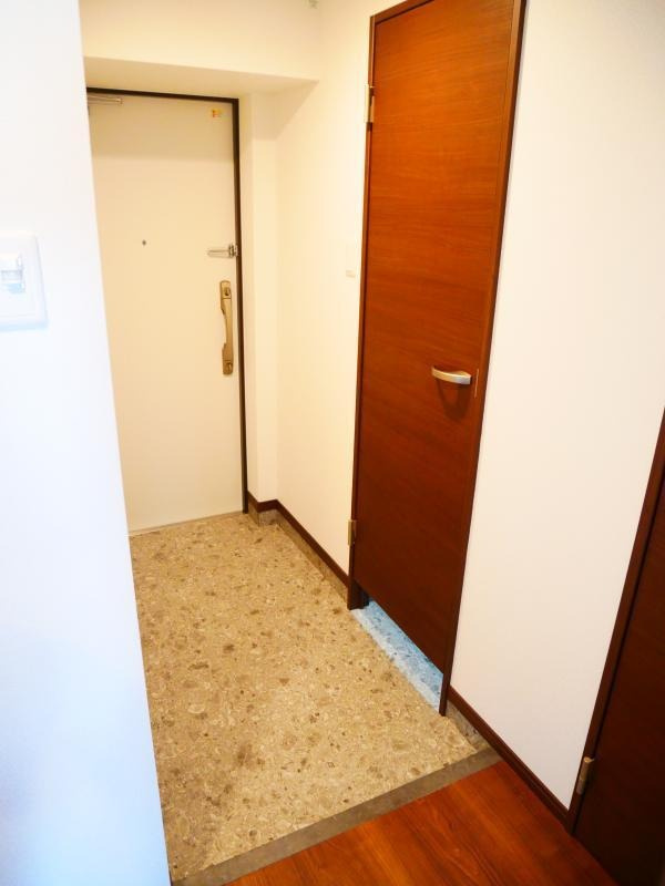 福岡市西区内浜２丁目の賃貸マンションの玄関|物件の画像6