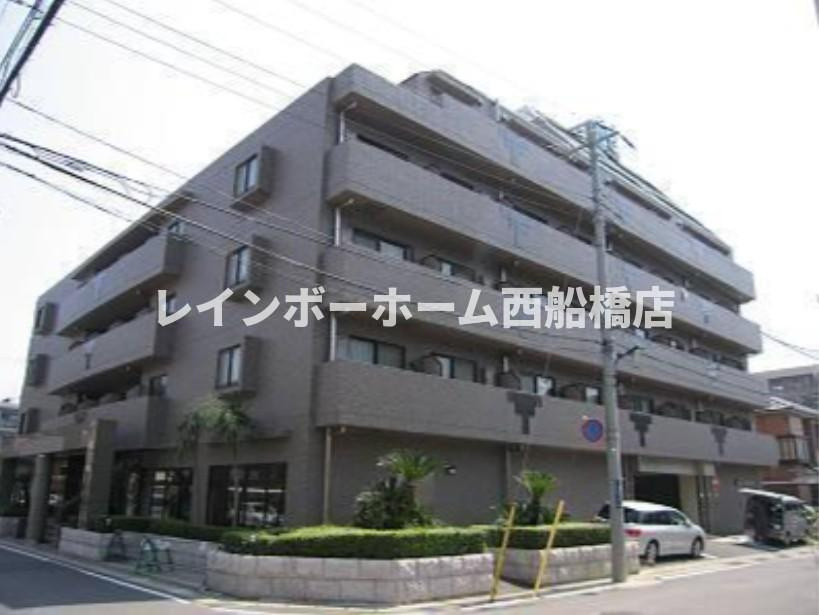 グランピーノ妙典