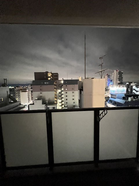 フレシール昭和通の展望