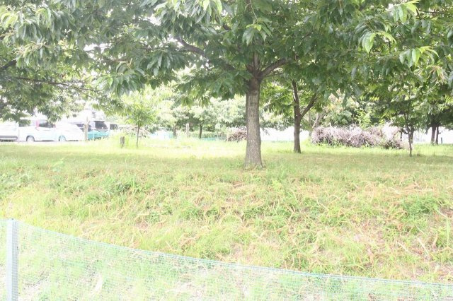 小山市美しが丘3丁目|敷地を西側から撮影しました