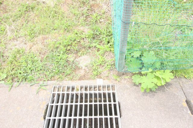 小山市美しが丘3丁目|東側隣地との境界です