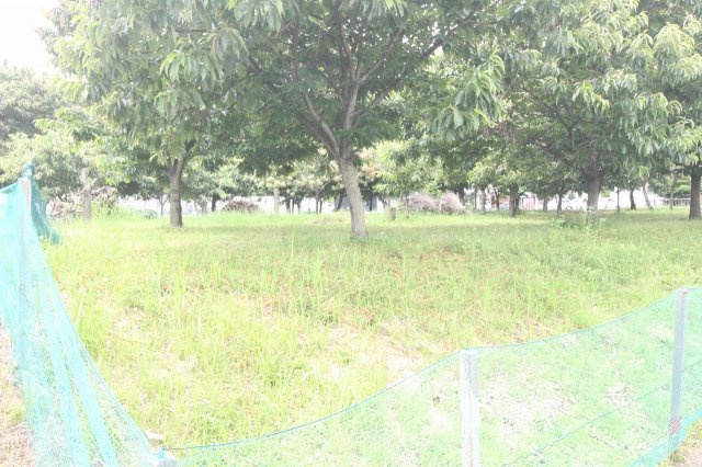 小山市美しが丘3丁目|敷地の東側から撮影しました