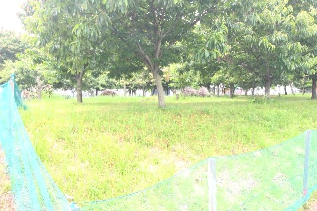 小山市美しが丘3丁目|敷地の東側から撮影しました