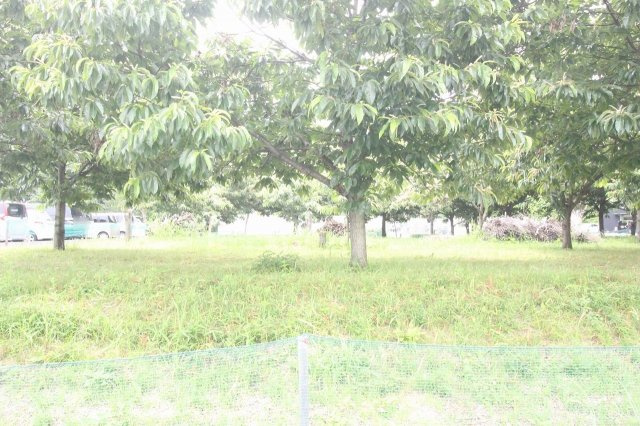 小山市美しが丘3丁目|敷地を北東側から撮影しました