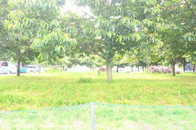 小山市美しが丘3丁目|敷地を北東側から撮影しました