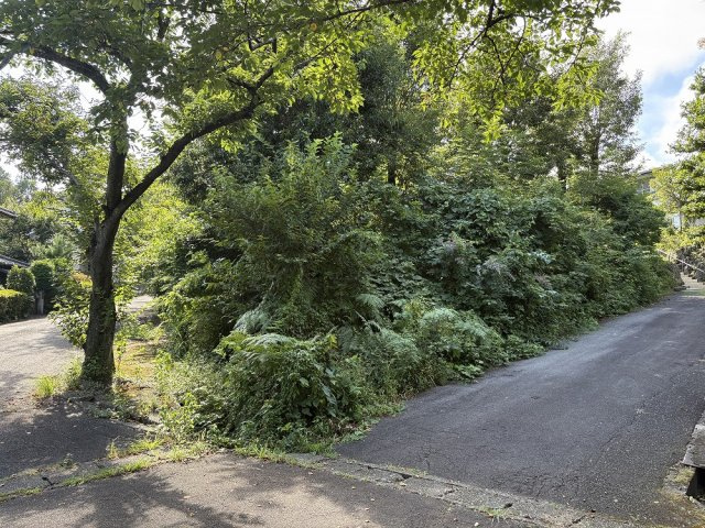 大室高原別荘地　売地の画像